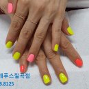 비치앤레푸스 이미지