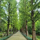 산림자원연구소 이미지