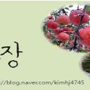 김화자농장 이미지