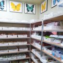 순풍농장 이미지