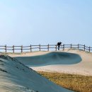 "사진만 보고 사하라 사막인 줄 알았어요"… 폭 1.3km에 달하는 51만 평 천연기념물 사구 이미지