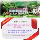 계곡사슴팬션 이미지