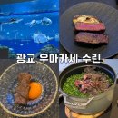 수원-1383 | [수원 우마카세] 광교 우마카세 맛집 수린 코스 내돈내산 솔직후기 (도쿄등심과의 장단점 정리)