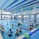 조코치의 수영교실 이미지