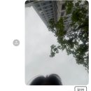 영지어린이집 | 일酒일 내내 酒을 처마시는 걸 4번함
