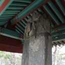 은꽃정원 | [충남/부여] 국립부여박물관
