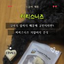 피쉬스토어 | Puppy’s Needs 퍼피스니즈 후기｜저알러지 강아지간식 추천! 피쉬&amp;미트 치즈샌드·니즈 베지패티 급여리뷰