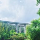 후사랑밀크(환희목장) 이미지