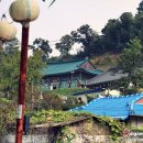 덕진-90 Daum카페