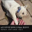 큐티 이미지