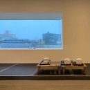 무유인(MUIN) 이미지