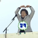 홍어회전문