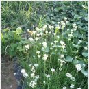 영완농장 이미지