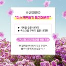 종이문화공예학원 네이버블로그
