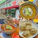 함경면옥 | 울산 또간집 맛집 함경면옥 | 왕만두 •물냉면 •회냉면 후기❕