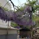 부영화원 이미지