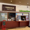 양지파인리조트 눈썰매장 네이버블로그