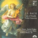 앤드류(ANDREW) 이미지