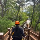 보현산댐 짚와이어 | 경북 영천 보현산댐 짚라인 짚와이어 출렁다리 이용요금 후기