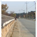 대룡마을 Daum카페