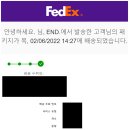 [수집후기] 아디다스 이지 폼 러너 설퍼 - Adidas YEEZY Foam RNNR Sulfur (GV6775) - 아디다스 / 이지...