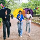 툴라 운문점 이미지