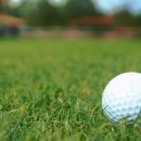 올바른골프연습장 이미지