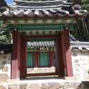 대선초 이미지