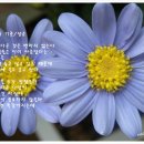 美 아름다운 사람 이미지