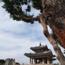 수원 가볼만한곳 수원여행 BEST10 수원 가볼만한곳 추천