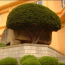 창원 외동지석묘 이미지