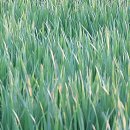 정호진농장 이미지