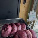 델리쉬 베이글
