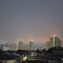 아파트 위로 내려 앉은 안개로 하늘빛이 노을같아요~ 이미지