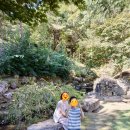 지리산 다랭이 스테이 | [수선사] 지리산 기슭 산청 마음을 닦는 도량, 32년째 스님이 가꾼 아름다운 정원을 만날 수 있는...