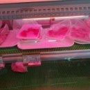 광천목장 이미지