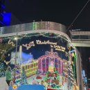 명동지하쇼핑센터 | 명동 크리스마스 가볼만한 곳 | 신세계 본점 미디어파사드, 롯데백화점 본점 대형트리