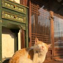 송백장 | [밀양] 사진찍기 좋은 한옥 1919봄 카페 메뉴 / 밀양패밀리오토캠핑장 근처 맛집 송백한올식당