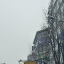 웰피부과의원 이미지