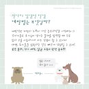 아이센텀 동물메디컬센터 이미지