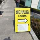 윤슬길 | &lt;동해 여행&gt; 정동 심곡 바다부채길 카페 윤슬 범선 횟집 후기 동해바다 카페 추천 동해 휴게소 투구바위