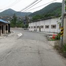 편백로 이미지