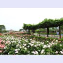 곡성-058 티스토리