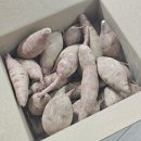오늘의가든 고구마 수확 후기, 오늘의집 앱테크 추천