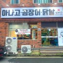 대구 칠곡 곰장어 맛집 진배기 아나고곰장어 신상 맛집