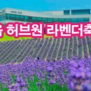 붕어섬1(다리앞) 이미지