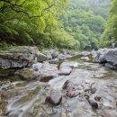 아침가리 계곡 캠핑장 이미지