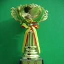 고려대 서구 태권도 이미지