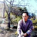 호도마을 Daum카페
