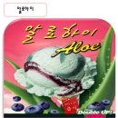 알로하이 이미지